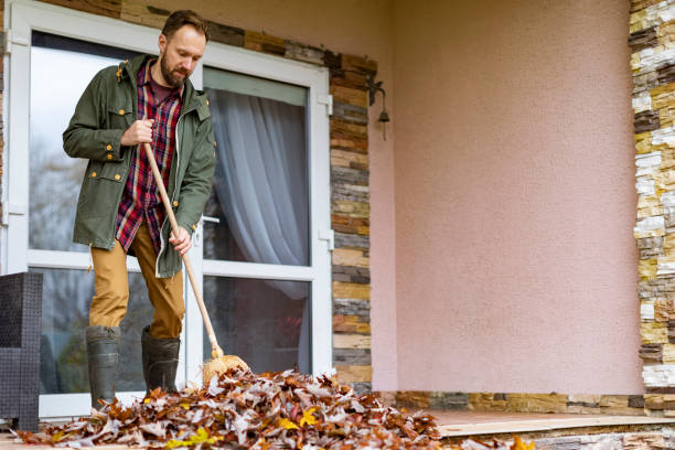 Best Dumpster Rental Services  in Madison Heights, MI
